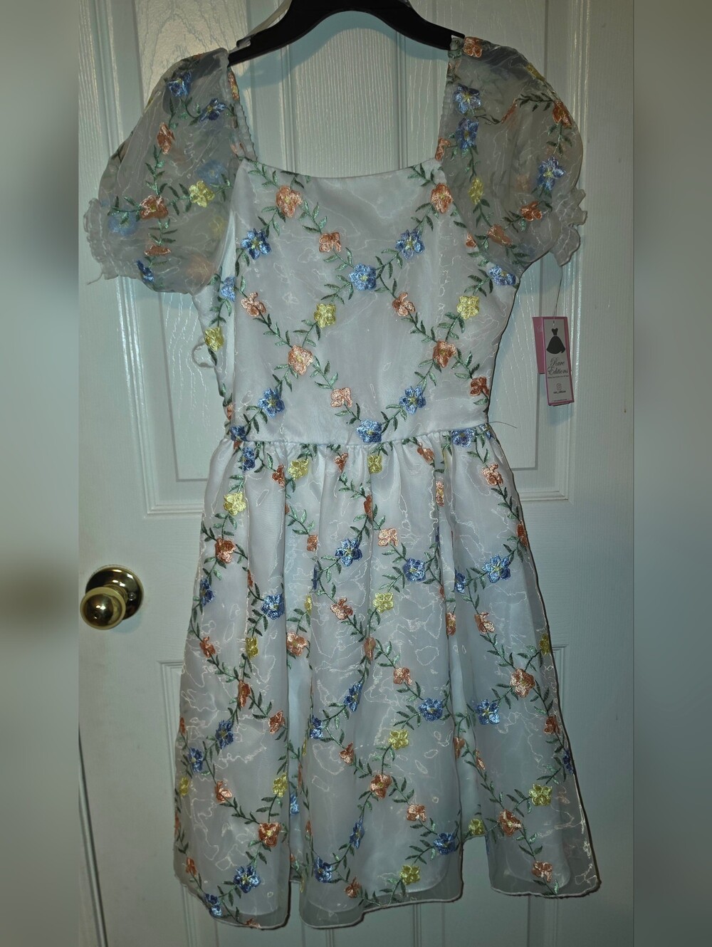 Big Girls Spring Symphony Dress Size 14